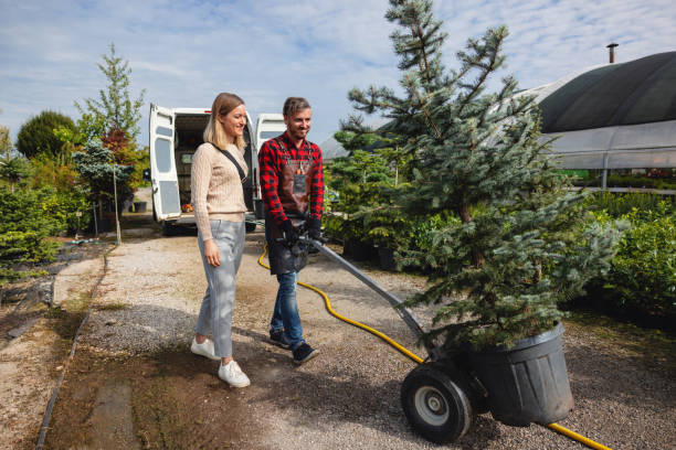 Trusted Mary Esther, FL Tree Care Services Experts